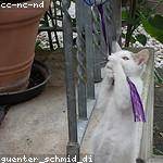 Stefanie Krajcik Profile Picture