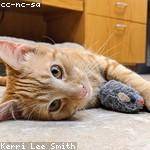 Vena Friesen Profile Picture