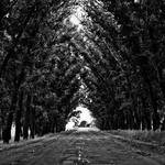 Ramiro Stehr Profile Picture